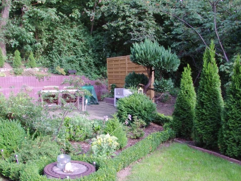 Apartament Halmis Fewo Derenburg Zewnętrze zdjęcie